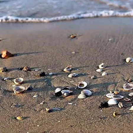 Lejlighed Sea View Spectacular Beachfront - Place With Umbrella Included Bibione